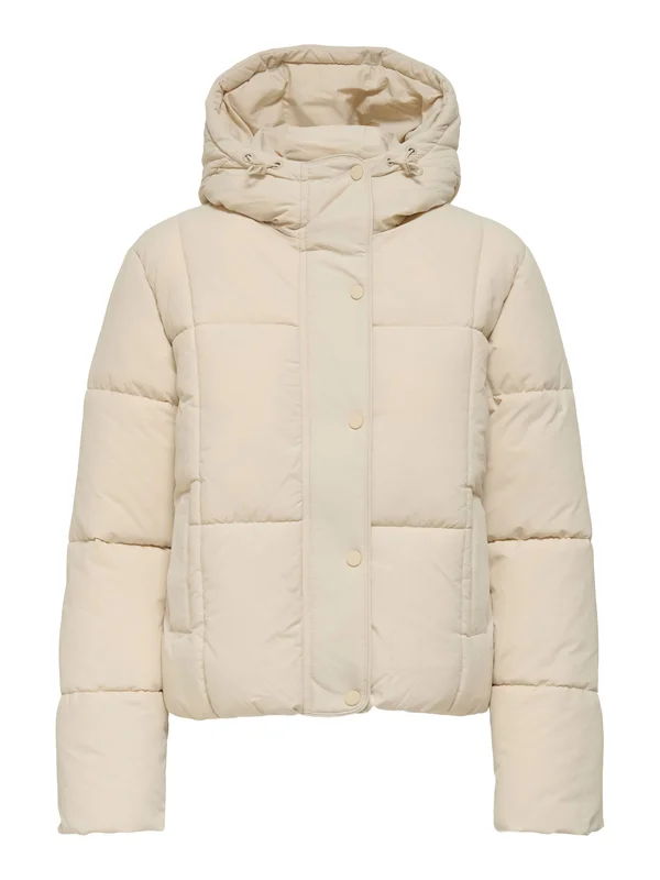 JDYWONDER HOOD PUFFER - Winter jacket - moonbeam