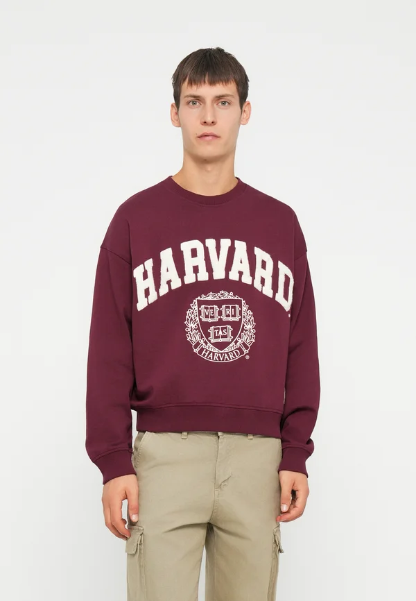 JORHARVARD  - Sweatshirt - maroon
