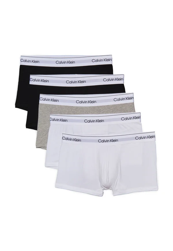 LOW RISE TRUNK ICON STRETCH 5 PACK - Trunks - white/heather