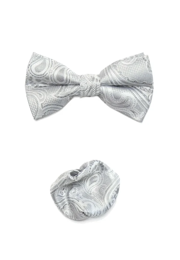 MIT PAISLEY-MUSTER SET - Pocket square - grau