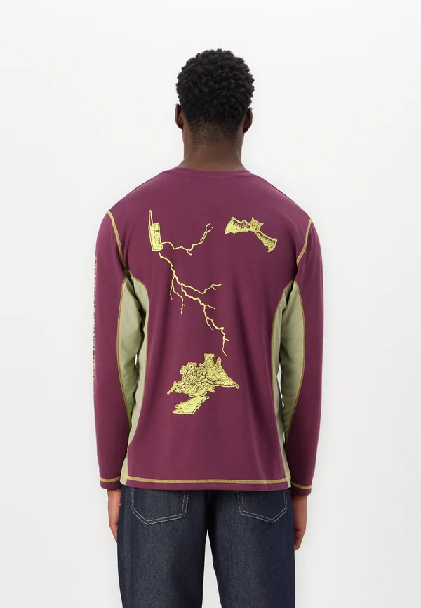 NATURE CALLS TECH - Long sleeved top - prune