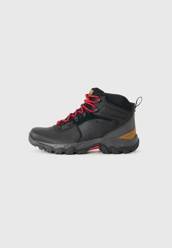 NEWTON RIDGE™ PLUS II - Hiking shoes - black/shark