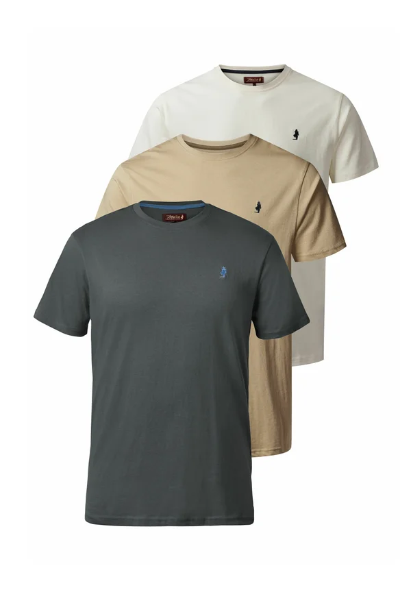OHIO 3 PACK - Basic T-shirt - jetstream chinchilla irongate