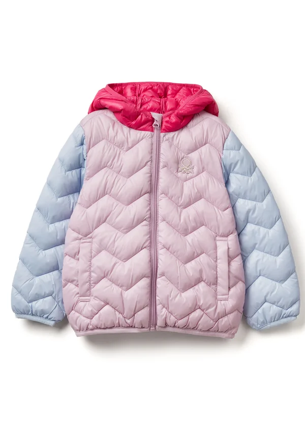 PADDED WITH HOOD - Winter jacket - multicolor