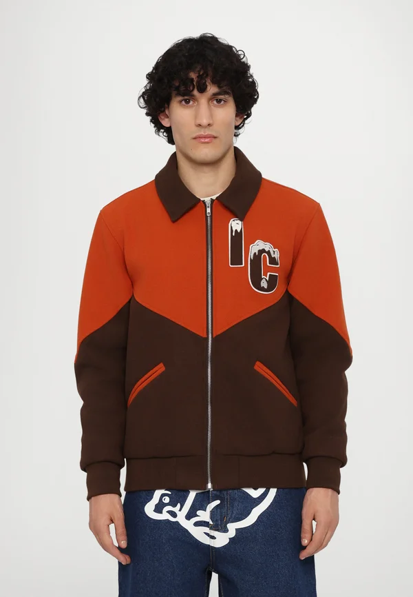 PANELLED VARSITY - Bomber Jacket - brown/orange