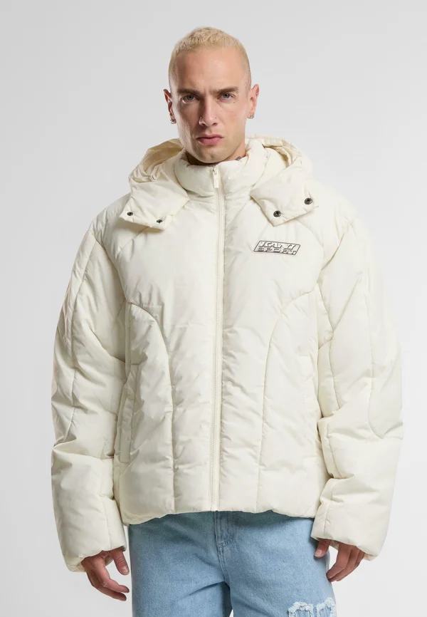 PATCH ARCTIC - Winter jacket - white