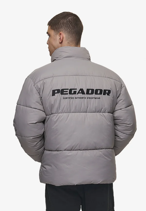 PICARD PUFFER JACKET - Winter jacket - rock grey