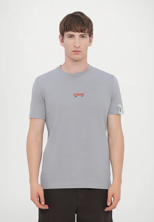 Print T-shirt - grigio chiaro