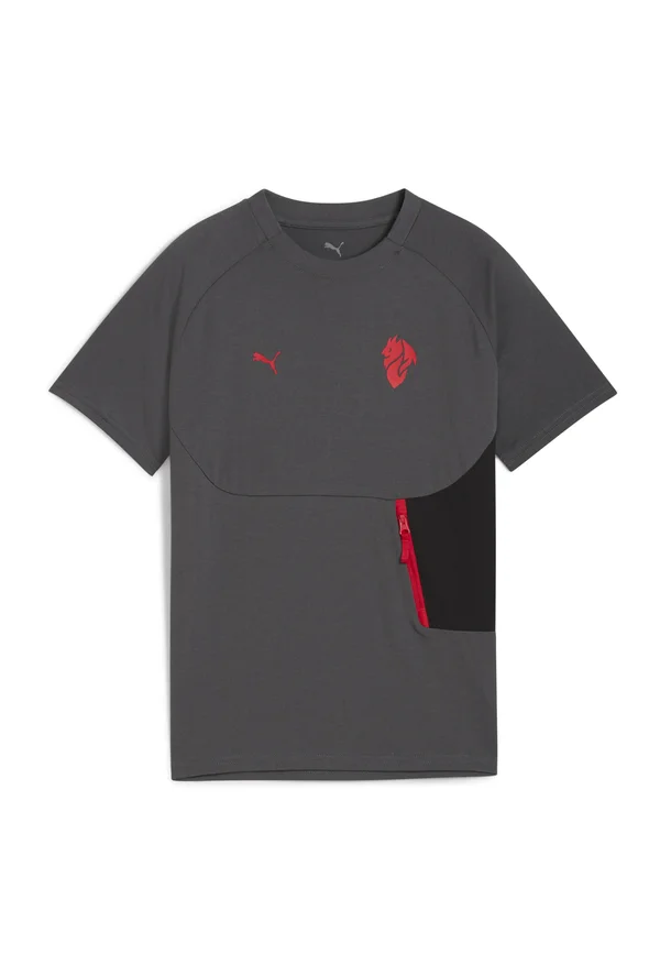 Print T-shirt - shadow gray for all time red