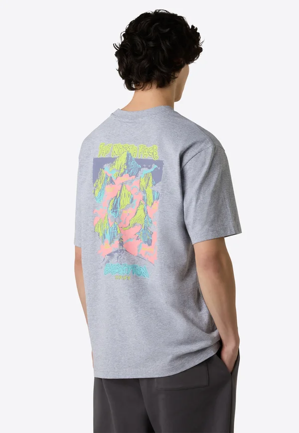 Print T-shirt - tnf light grey heather