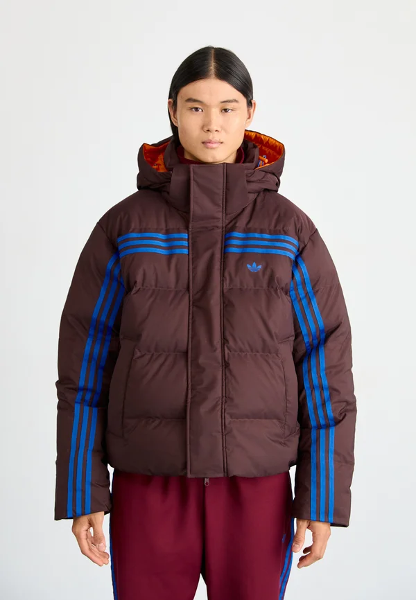 PUFFER - Down jacket - shadow brown