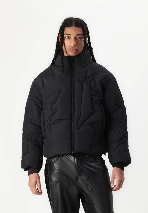 PUFFER - Winter jacket - black
