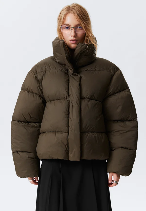 PUFFER  - Winter jacket - dark brown