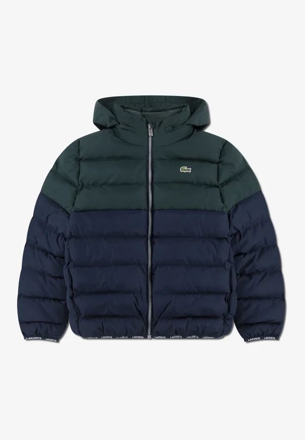 PUFFER - Winter jacket - sinople