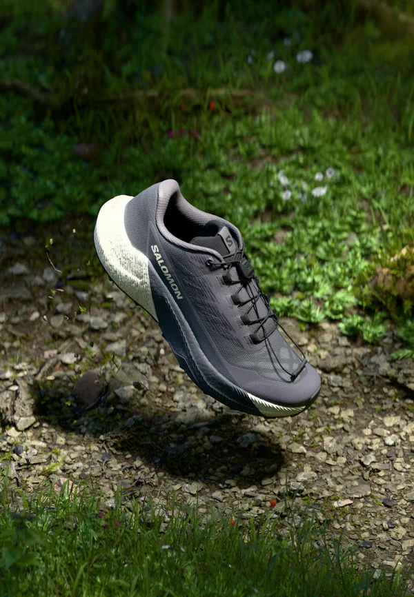 PULSAR - Trail running shoes - excalibur/vanilla ice/nine iron