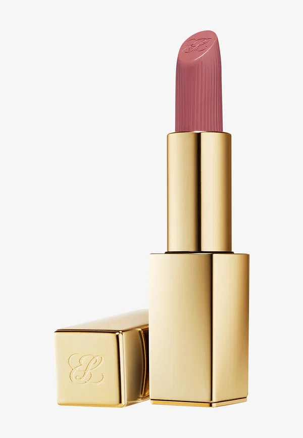 PURE COLOR MATTE LIPSTICK - Lipstick - in control