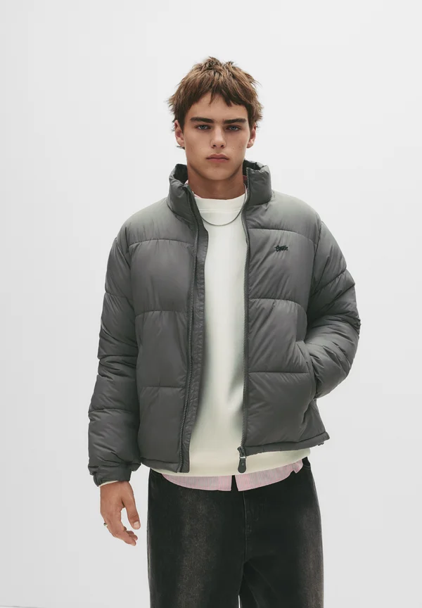 QUILTED - Winter jacket - dark grey