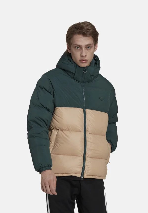 REGEN - Winter jacket - gruenbeige