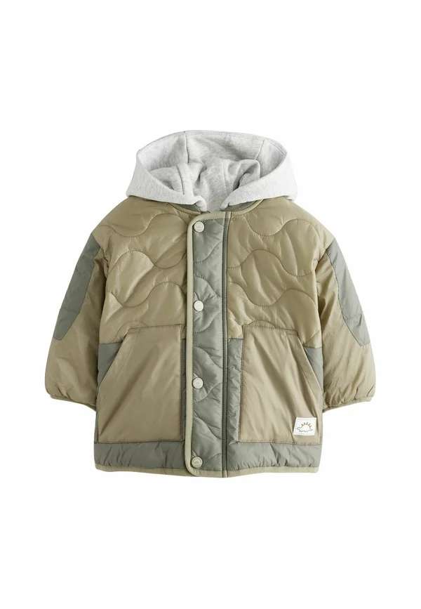 REGULAR FIT - ONION QUILT WITH REMOVABLE  - Winter jacket - khaki green