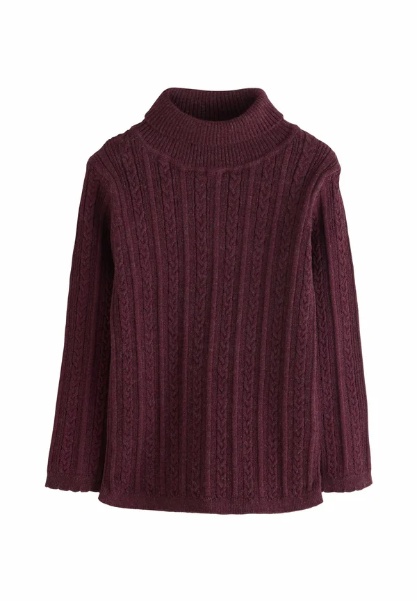 REGULAR FIT-ROLL NECK - Jumper - purple