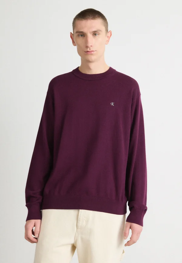 RELAXED  - Jumper - passion plum