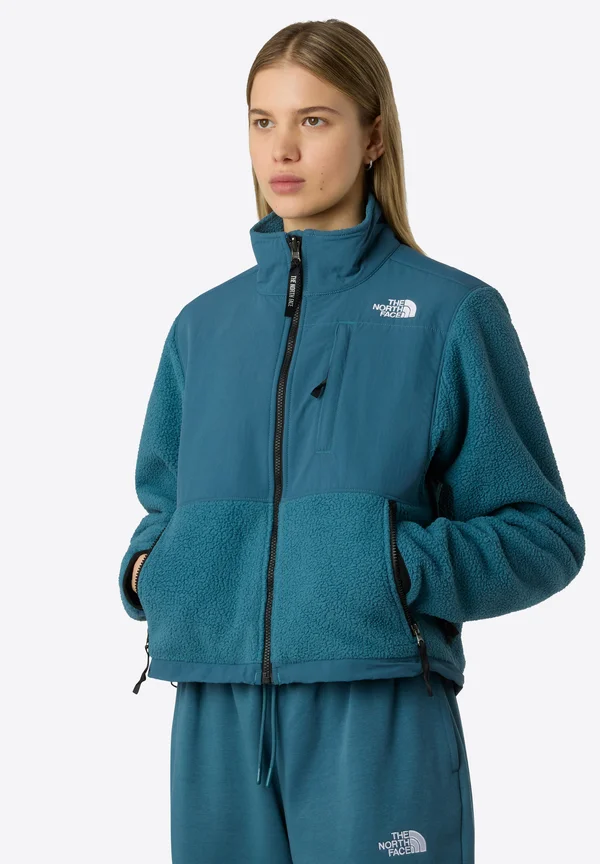 RETRO DENALI - Fleece jacket - space