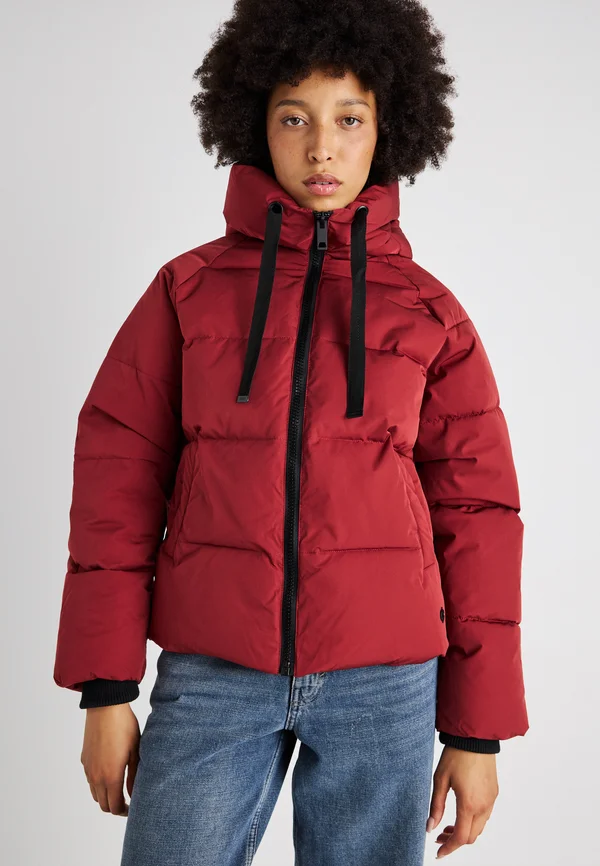 SHORT JACKET - Winter jacket - syrah