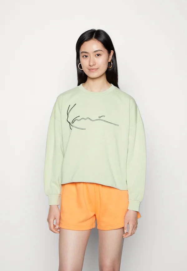 SIGNATURE WASHED CREW - Sweatshirt - dusty green