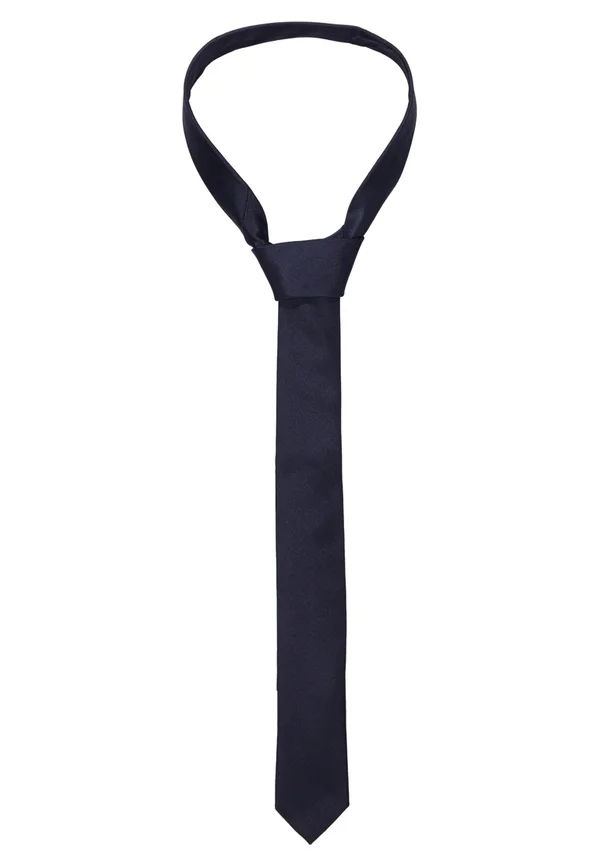 SLHPLAIN TIE - Tie - dark sapphire