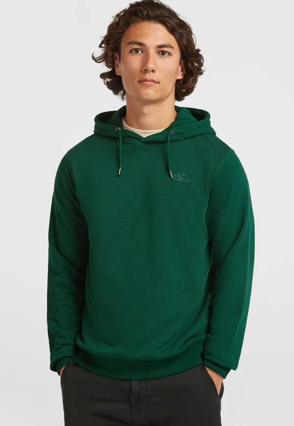 SMALL LOGO  - Hoodie - emerald envy