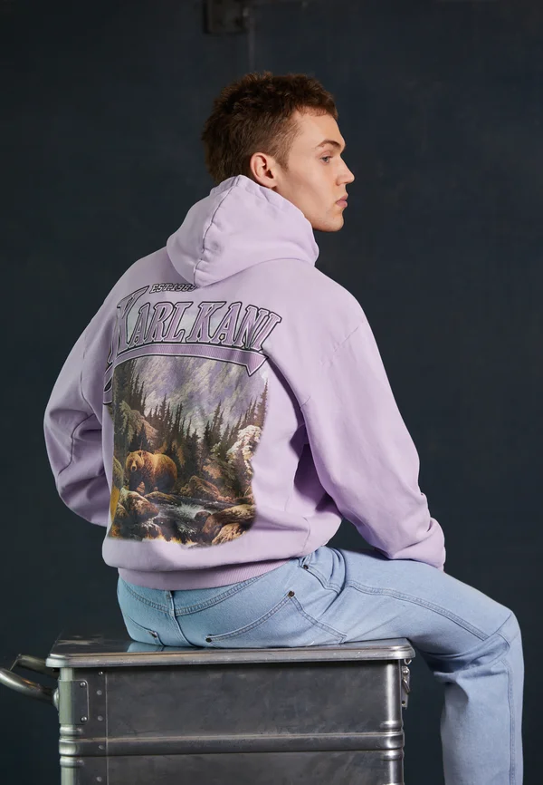 SMALL SIGNATURE OS WASHED HEAVY LANDSCAPE - Hoodie - light purple