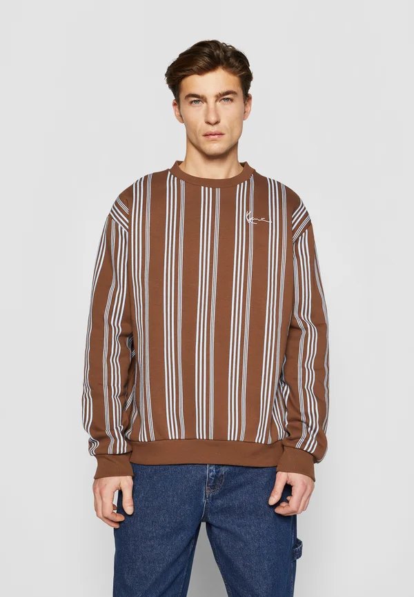 SMALL SIGNATURE STRIPED CREW - Sweatshirt - brown light blue