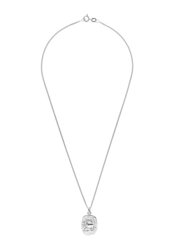 STERNZEICHEN STEINBOCK - Necklace - silver-coloured