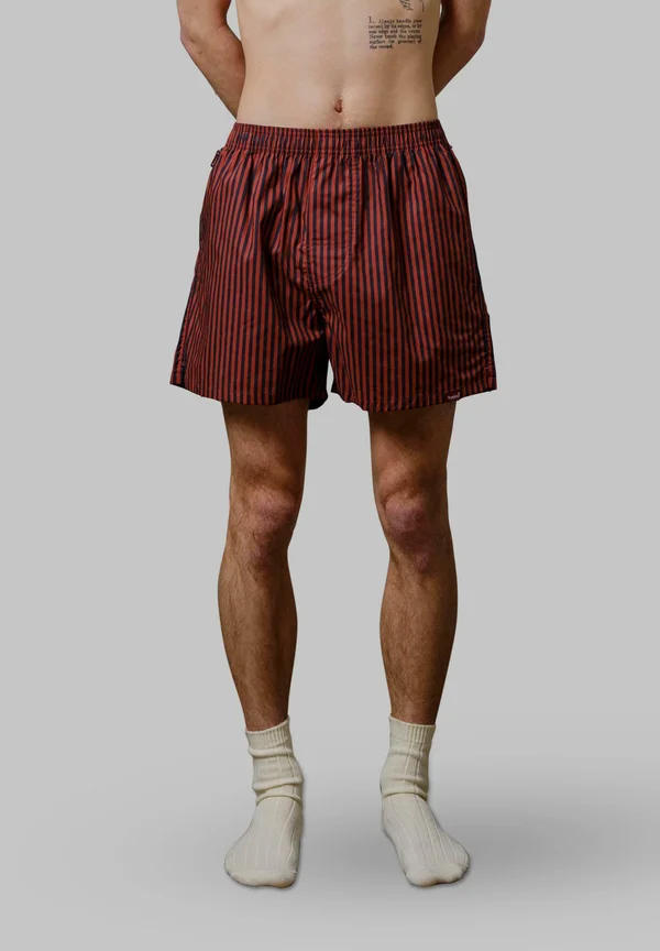 STRIPED - Boxer shorts - multicolor