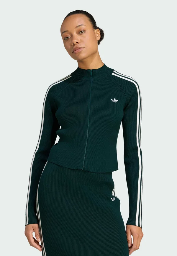 STRIPES TRACK - Training jacket - aurora ivy