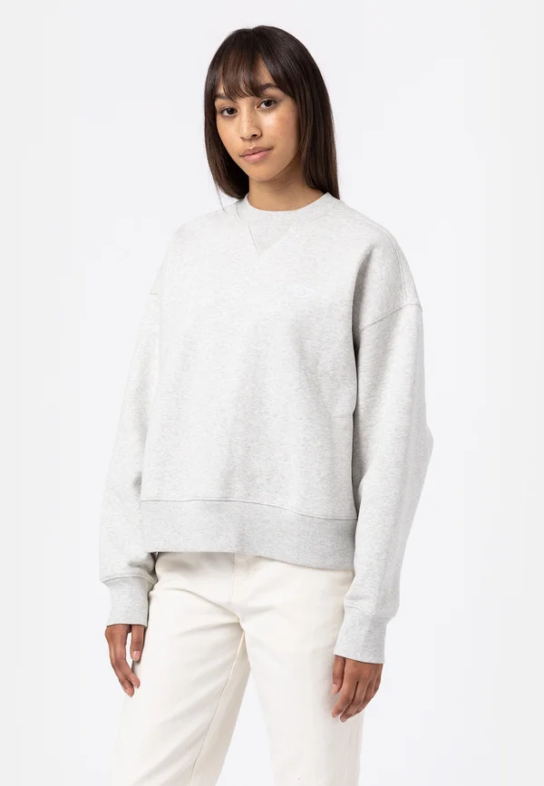 SUMMERDALE  - Sweatshirt - light gray