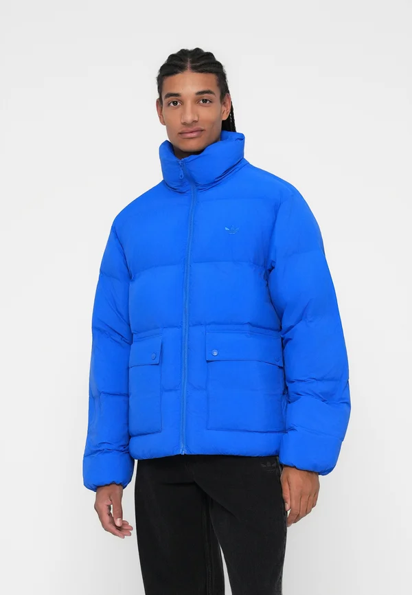 SYNTHDOWN - Winter jacket - blue