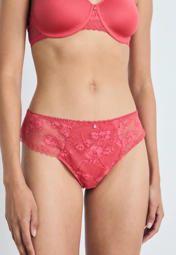 Thong - chrysanthemu