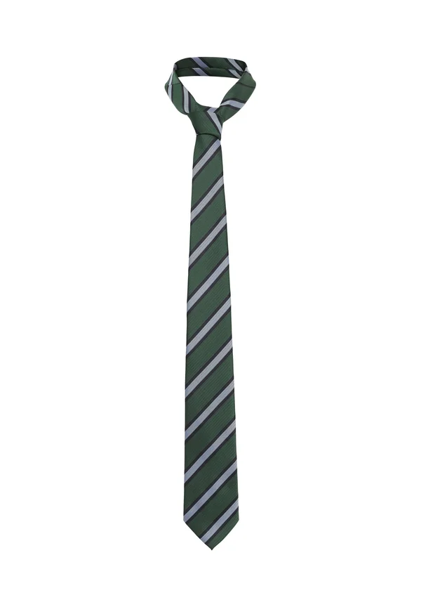 Tie - dark green