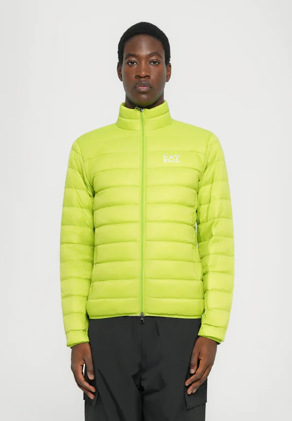 TRAIN CORE JACKET - Down jacket - macaw green