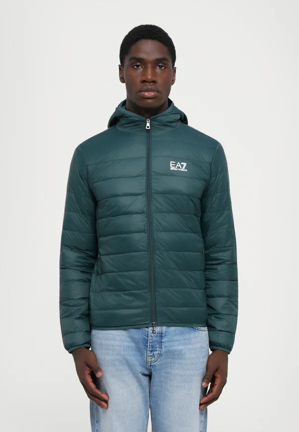 TRAIN CORE LIGHT JACKET - Down jacket - ponderosa pine