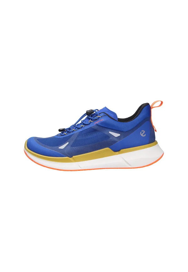 Trainers - virtualmarineoliveoil