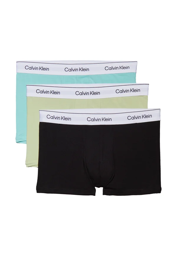 TRUNK 3 PACK - Trunks - black, beau blue leafy fun