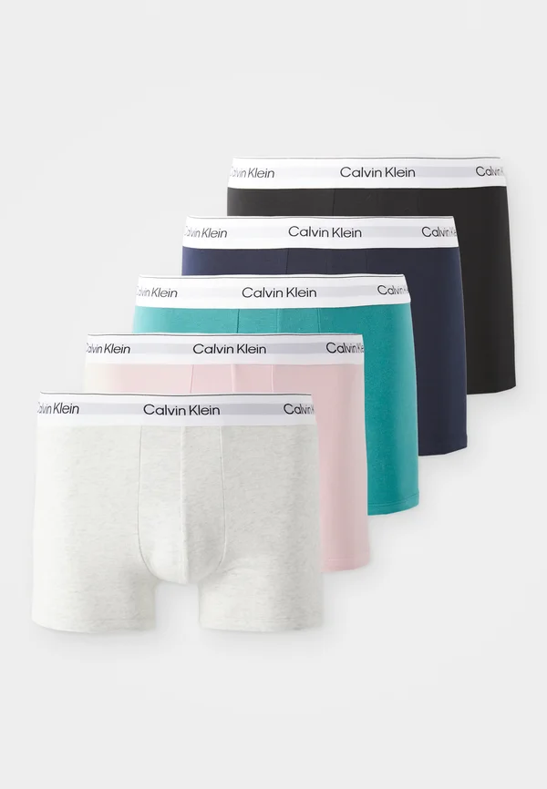 TRUNK ICON 5 PACK - Trunks - black/grey heather/buff pink/green/dark blue