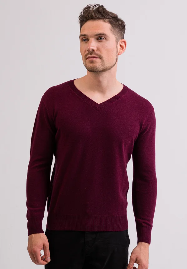 V-AUSSCHNITT - Jumper - cranberry rot