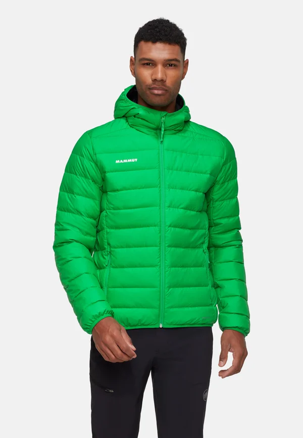 WAYMARKER IN  - Down jacket - pinea-black