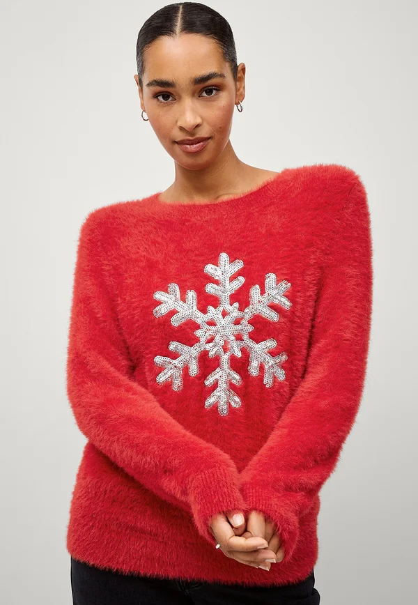 WEIHNACHTS - Jumper - rot
